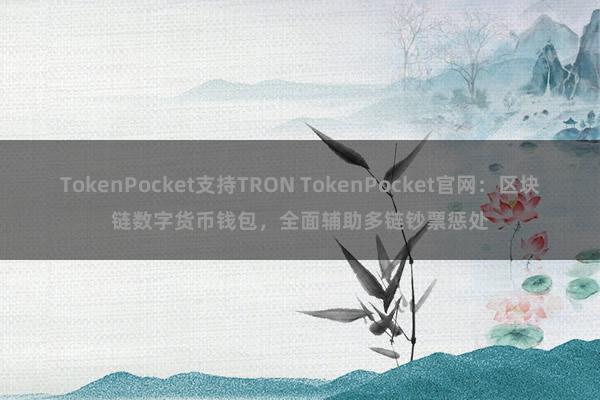 TokenPocket支持TRON TokenPocket官网：区块链数字货币钱包，全面辅助多链钞票惩处